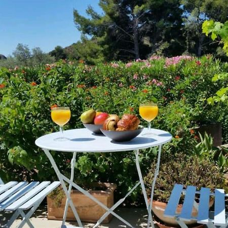 Incredible Apartment Near The Sea And Calanque La Ciotat Extérieur photo