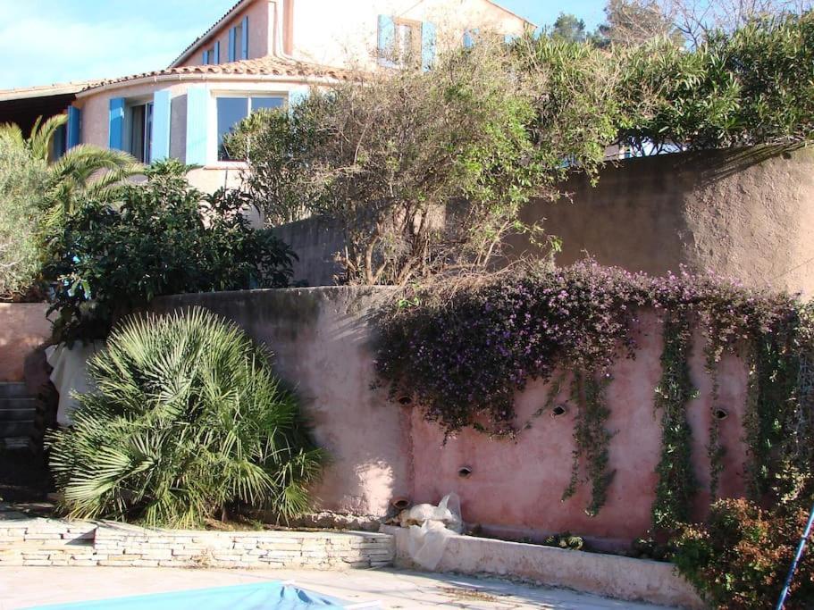 Incredible Apartment Near The Sea And Calanque La Ciotat Extérieur photo
